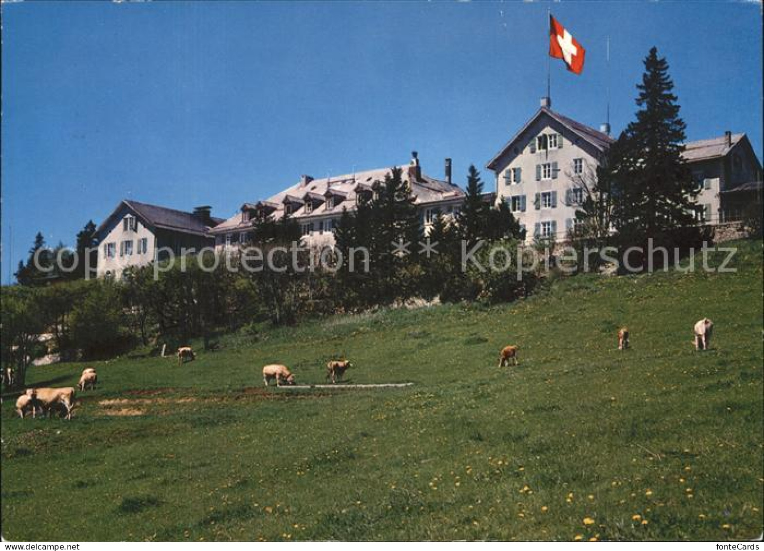 11692097 Weissenstein SO Hotel Kurhaus Weissenstein Weissenstein B. Solothurn - Other & Unclassified