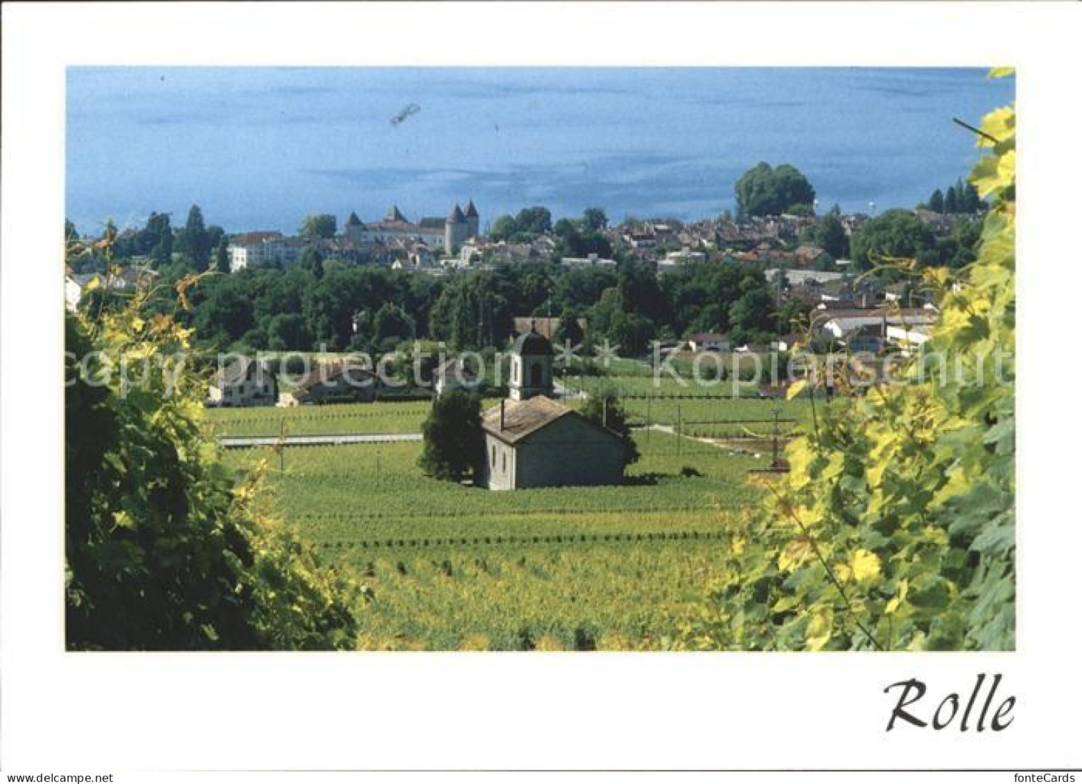 11691877 Rolle Vaud La Ville Depuis Les Vignobles Rolle - Autres & Non Classés