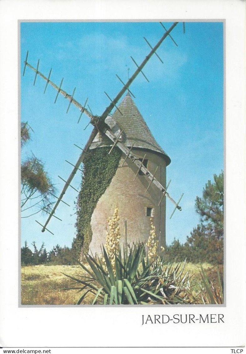 CPM France   Pays De Loire 85 Vendée  Jard Sur Mer Le Moulin - Windmühlen