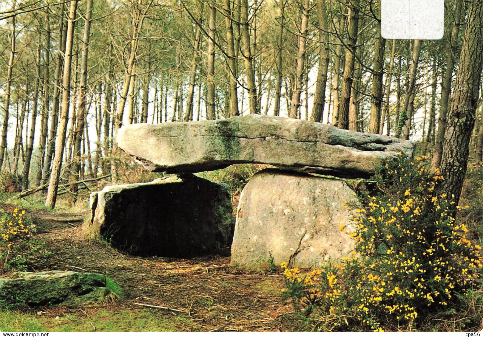 RIANTEC - DOLMEN De KERPOREL - N°14 Caoudal - Autres & Non Classés