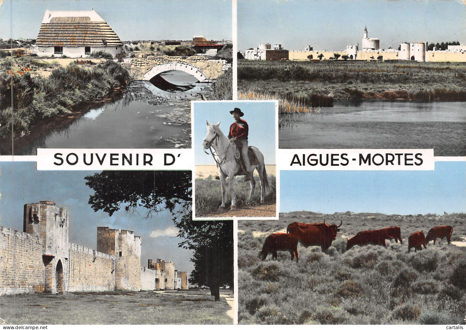 30-AIGUES MORTES-N°4210-A/0219 - Aigues-Mortes