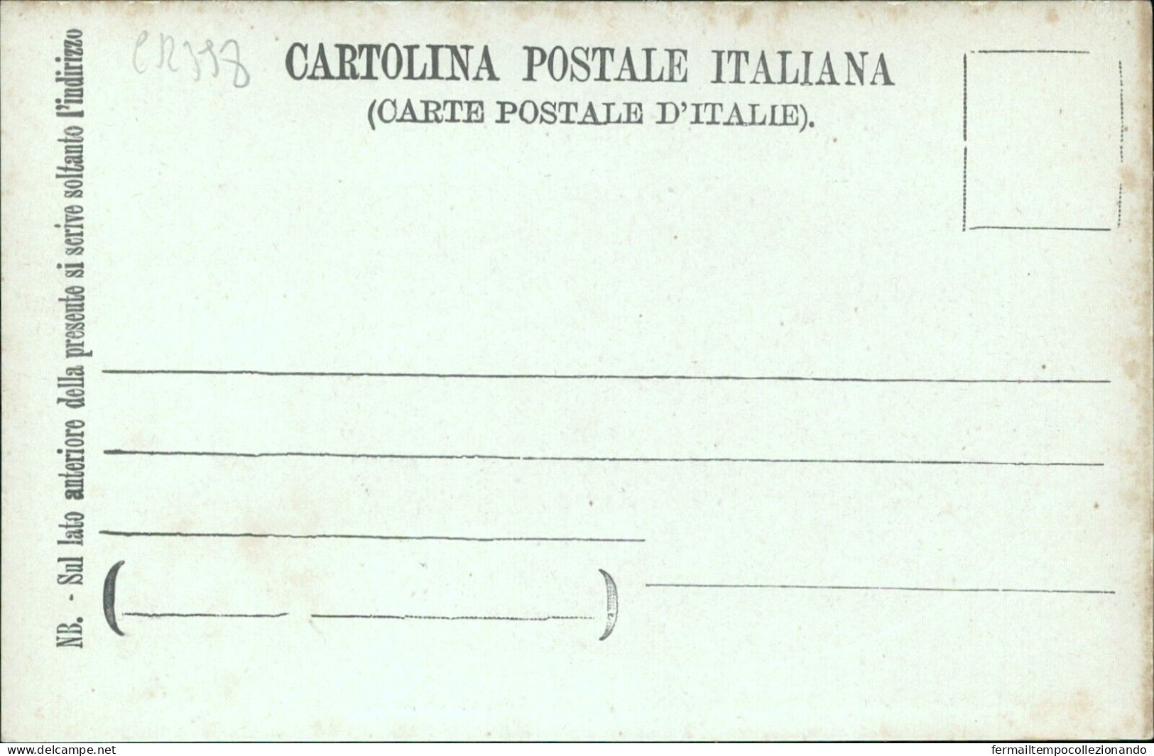 Cr398 Cartolina Tolentino Interno Della Basilica Di S.nicola  Macerata Marche - Macerata
