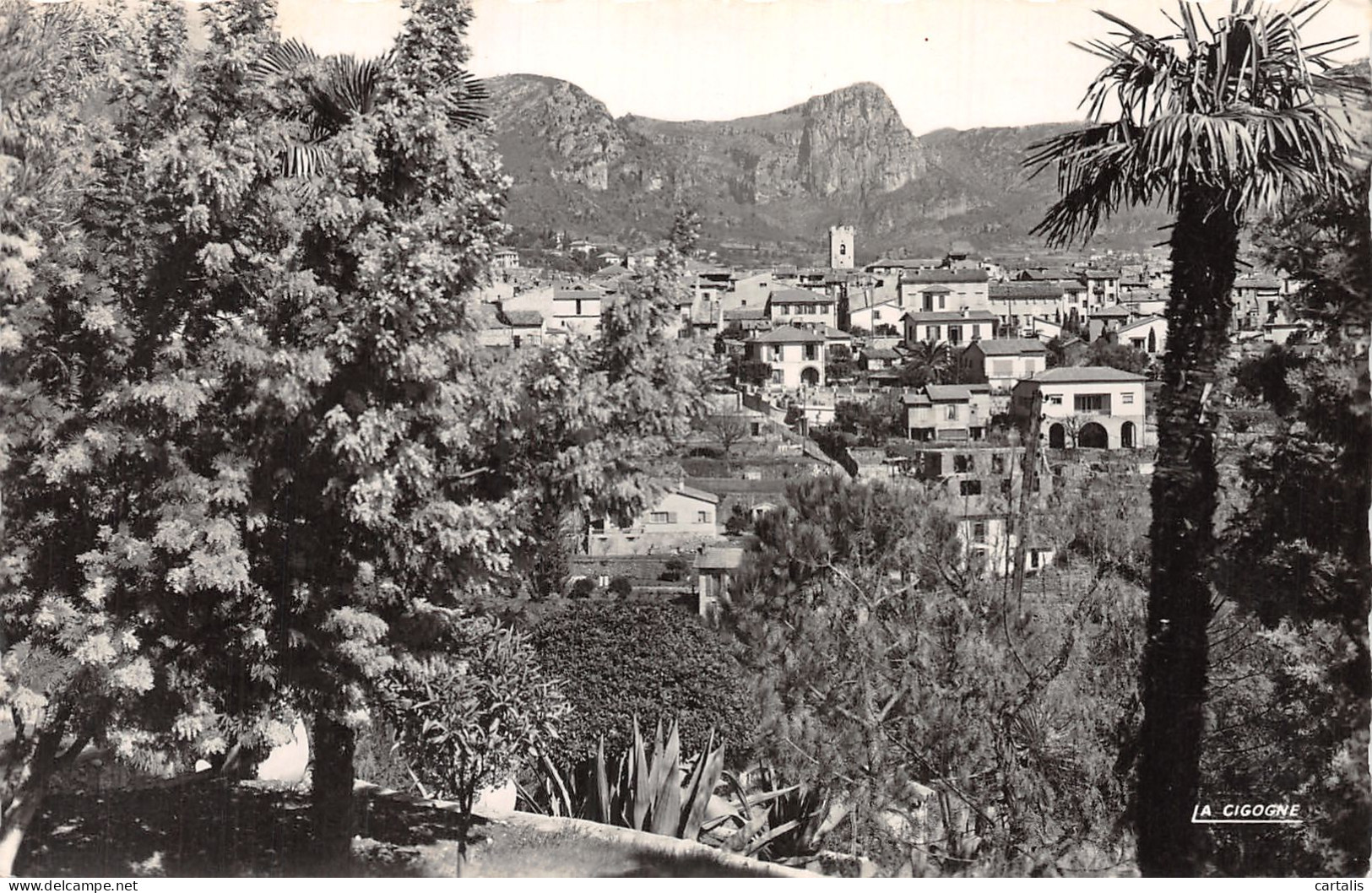 06-VENCE-N°4210-E/0237 - Vence