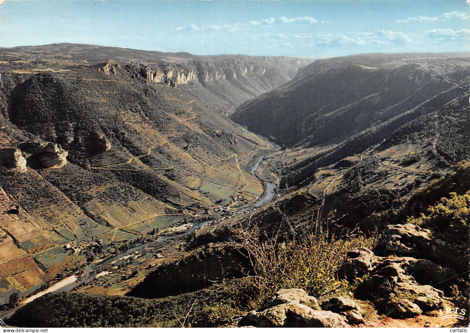 48-GORGES DU TARN-N°4210-D/0011 - Gorges Du Tarn