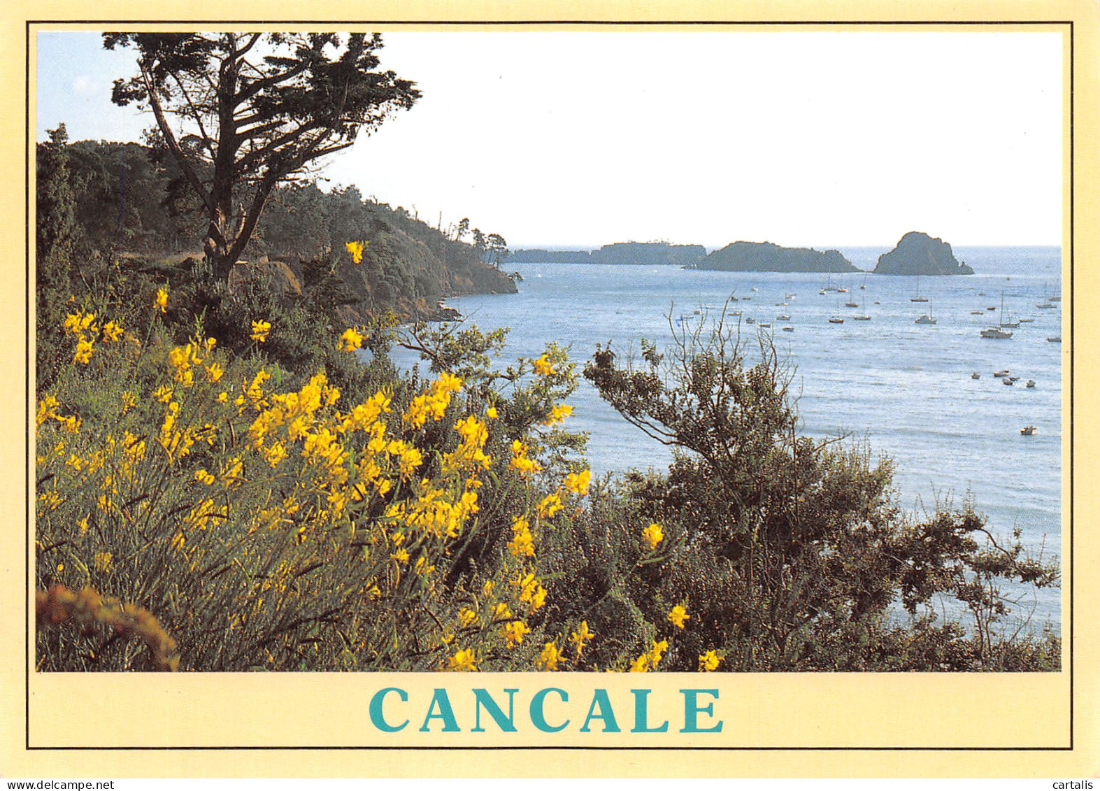 35-CANCALE-N°4210-C/0285 - Cancale