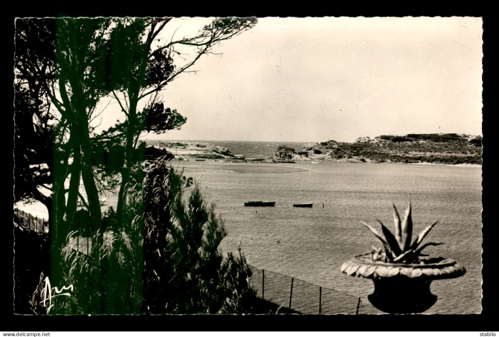 83 - SIX-FOURS-LES-PLAGES - LE BRUSC - LA PRESQU'ILE DU GAOU - Six-Fours-les-Plages