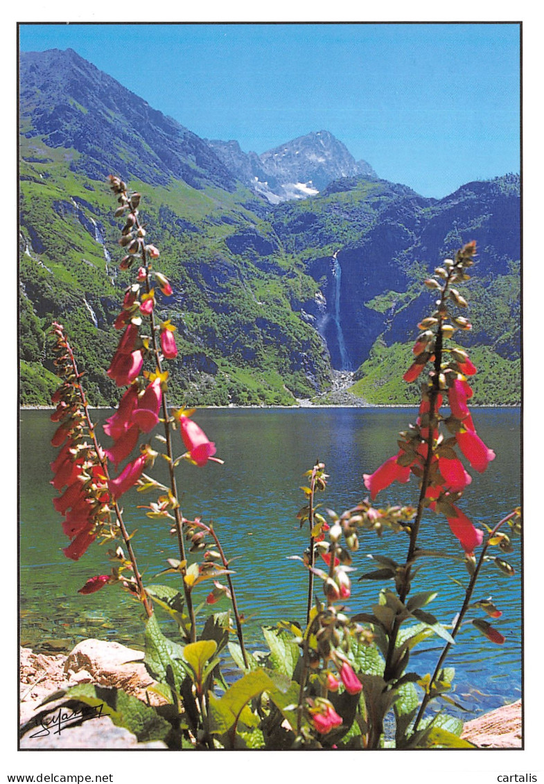 31-PYRENEES LAC D OO-N°4212-A/0075 - Andere & Zonder Classificatie