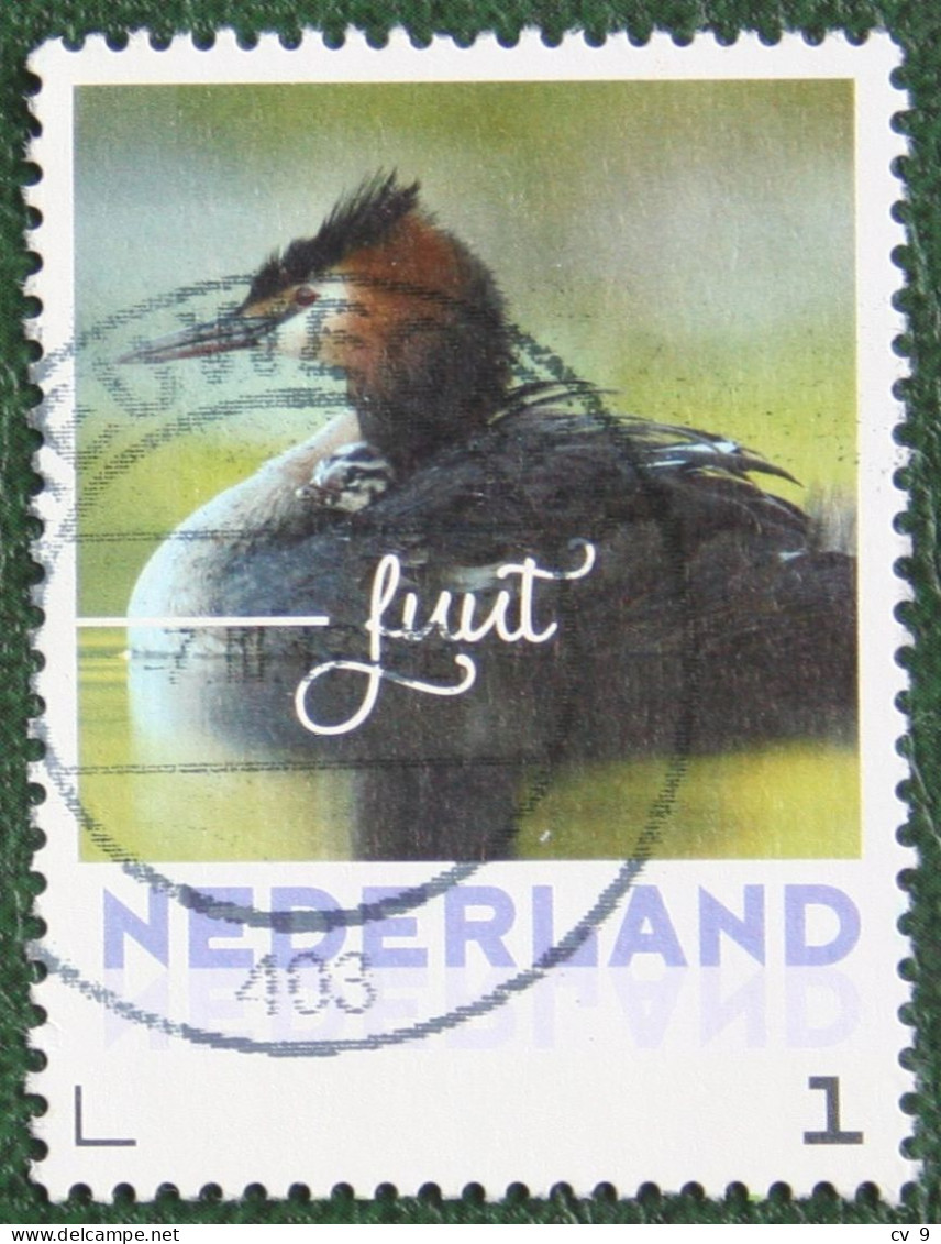 FUUT Bird Vogel Oiseaux Pajaro Persoonlijke Zegel 2017 Gestempeld / USED / Oblitere NEDERLAND / NIEDERLANDE - Personnalized Stamps