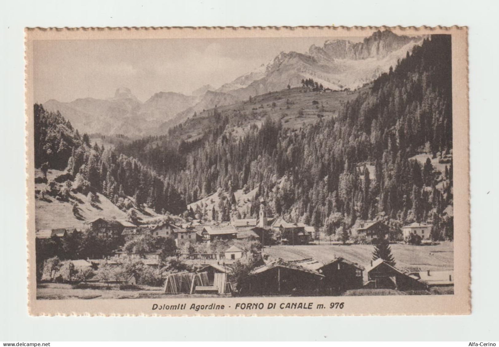 FORNO  DI  CANALE:  DOLOMITI  AGORDINE  -  FOTO  -  FP - Belluno