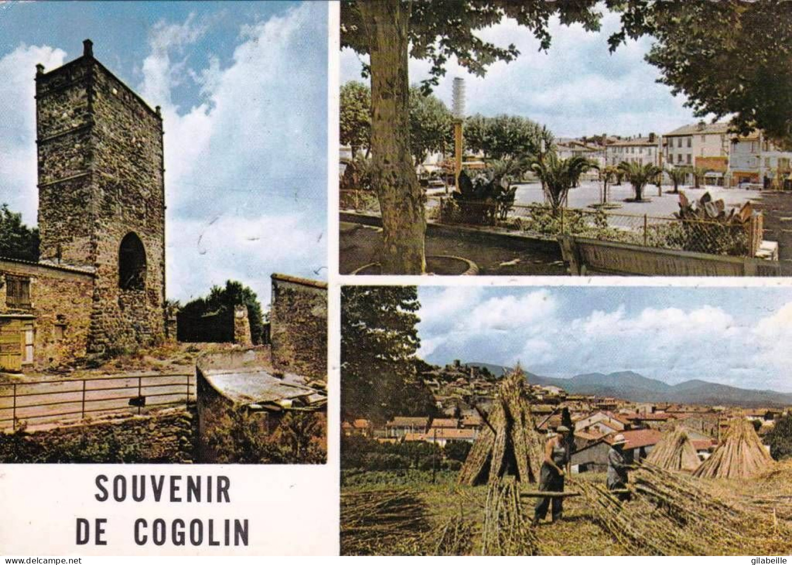 83 - Var  - COGOLIN - La Tour Sarrazine - Vanniers Au Travail - Place De L Hotel De Ville - Cogolin