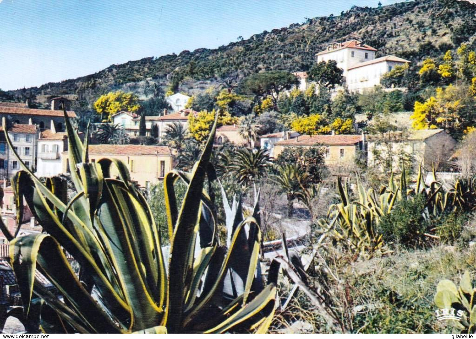 83 - Var - BORMES Les MIMOSAS - Le Grand Hotel - Bormes-les-Mimosas