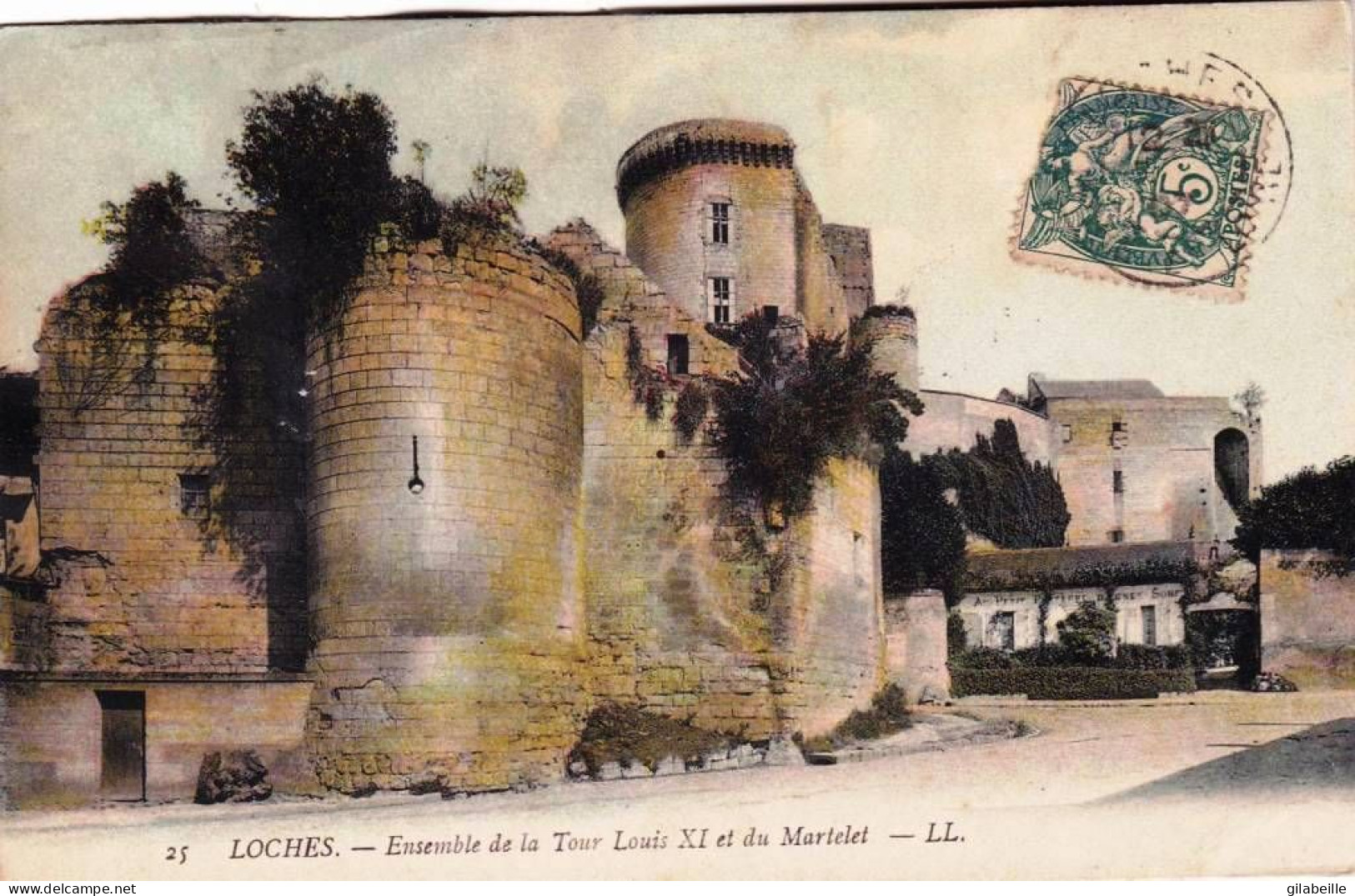 37 - Indre Et Loire -  LOCHES - Ensemble De La Tour Louis XI Et Du Martelet - Loches