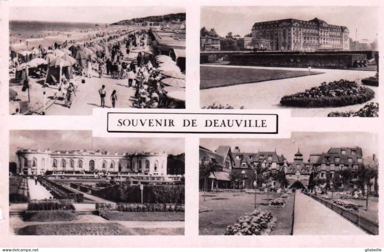 14 - Calvados -  Souvenir De  DEAUVILLE  - Deauville