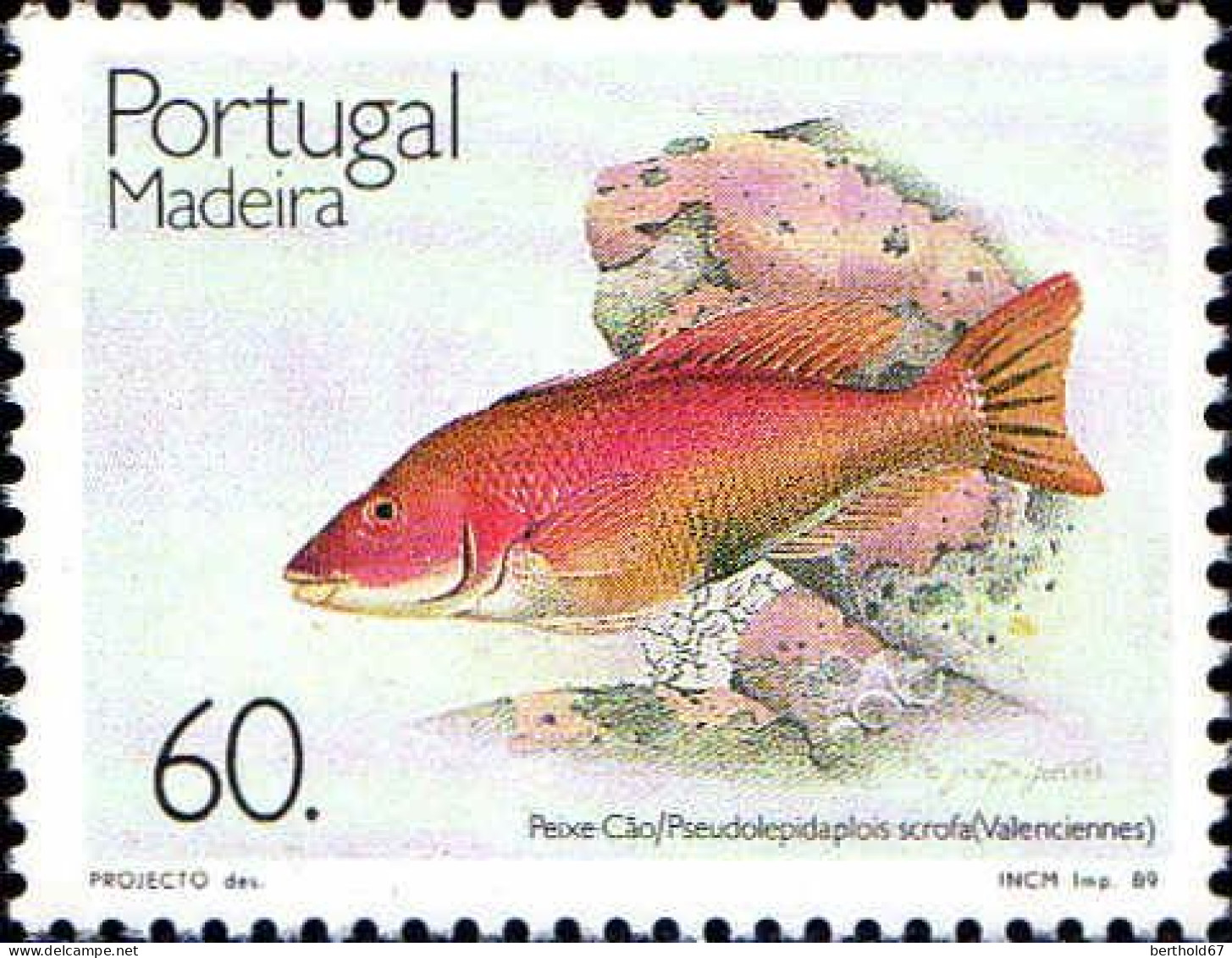 Madère Poste N** Yv:137 Mi:130 Peixe Cao Pseudolepidaplois Scrofa Valenciennes - Madeira