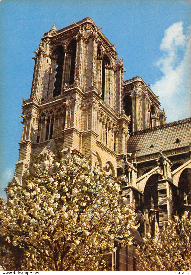 75-PARIS NOTRE DAME-N°4212-C/0283 - Notre Dame De Paris