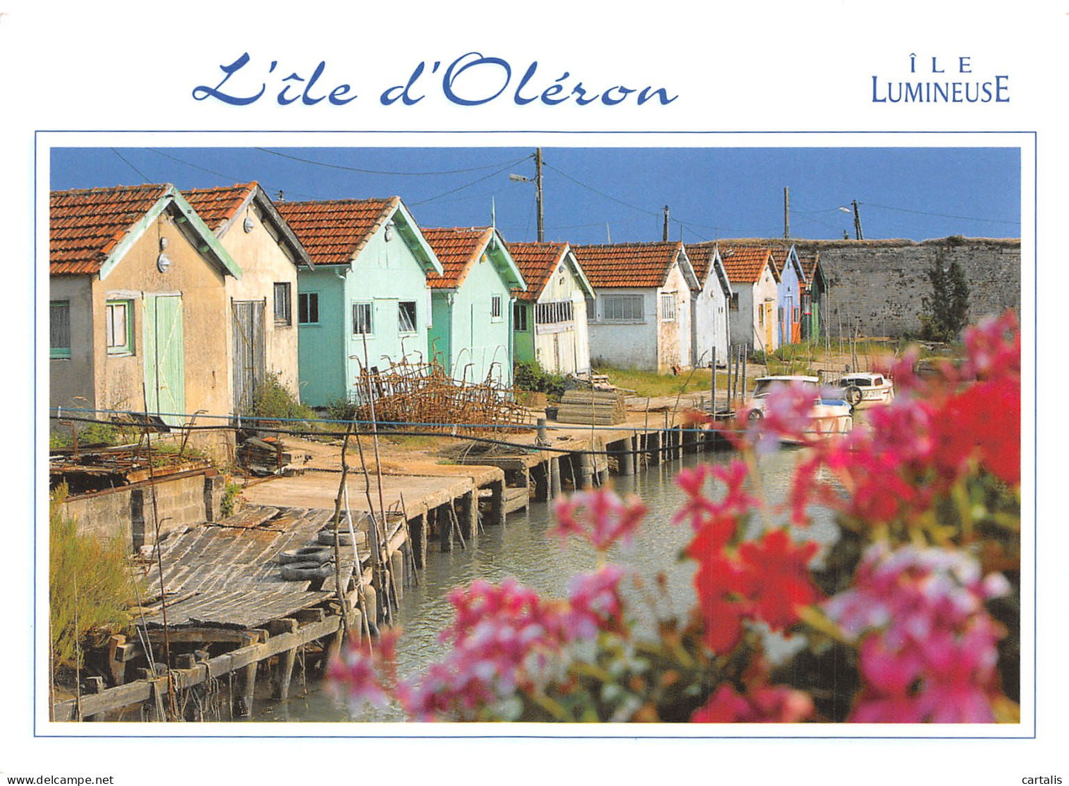 17-ILE D OLERON-N°4212-B/0323 - Ile D'Oléron