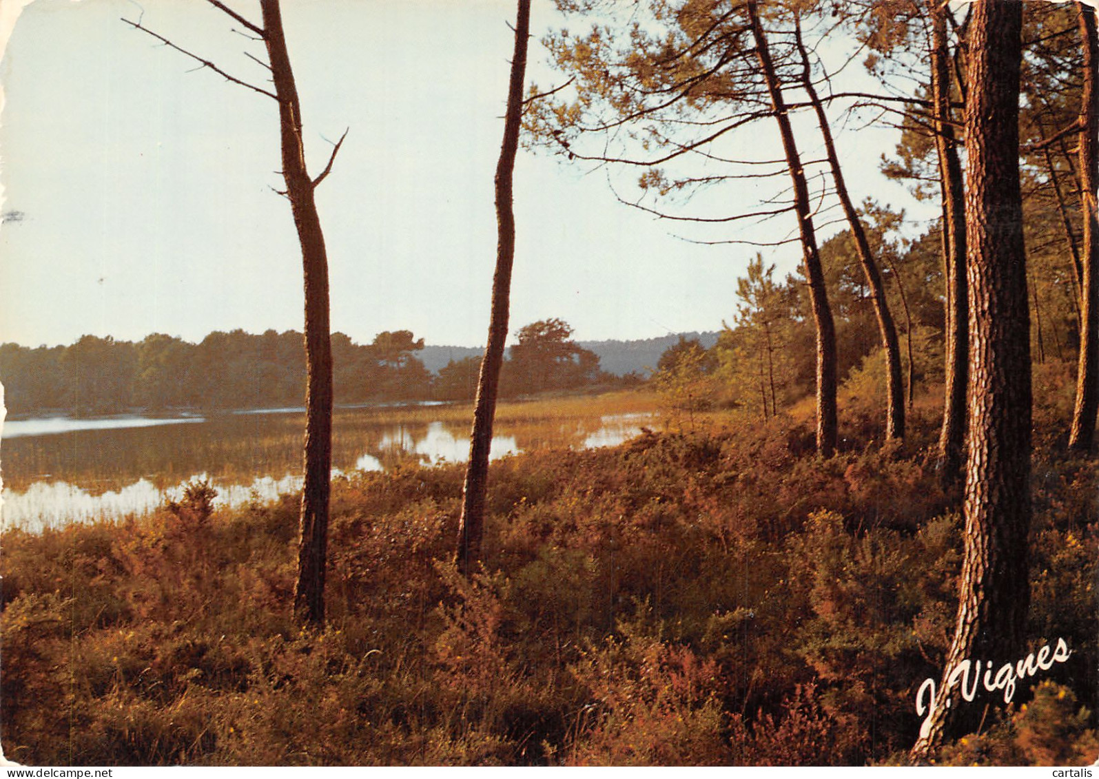 40-LES LANDES-N°4212-A/0269 - Sonstige & Ohne Zuordnung