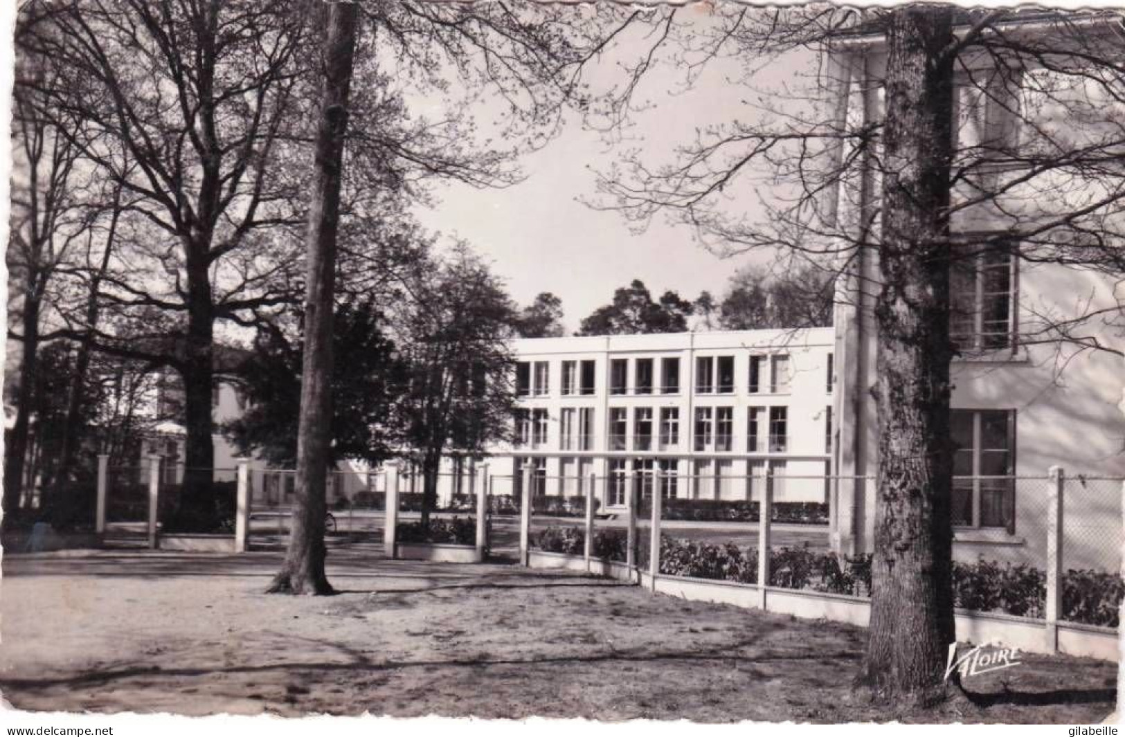 41 - Loir Et Cher -  LAMOTTE BEUVRON -  Le Sanatorium Des Pins - Lamotte Beuvron