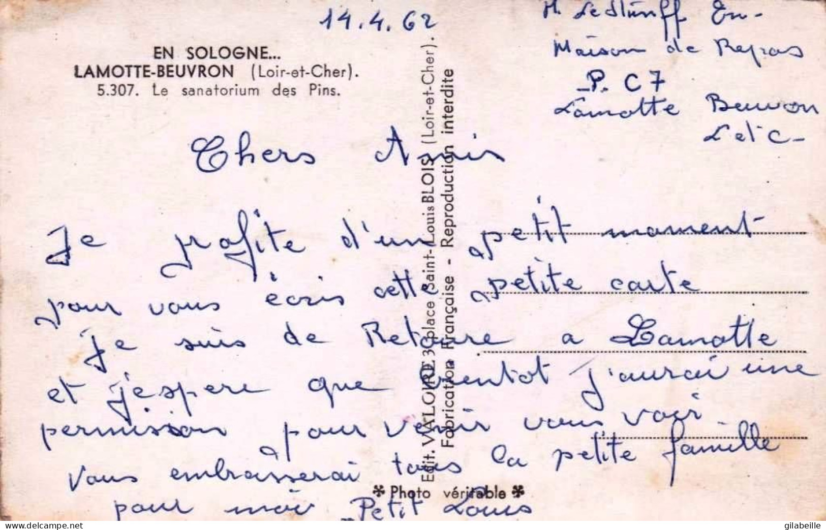 41 - Loir Et Cher -  LAMOTTE BEUVRON -  Le Sanatorium Des Pins - Lamotte Beuvron