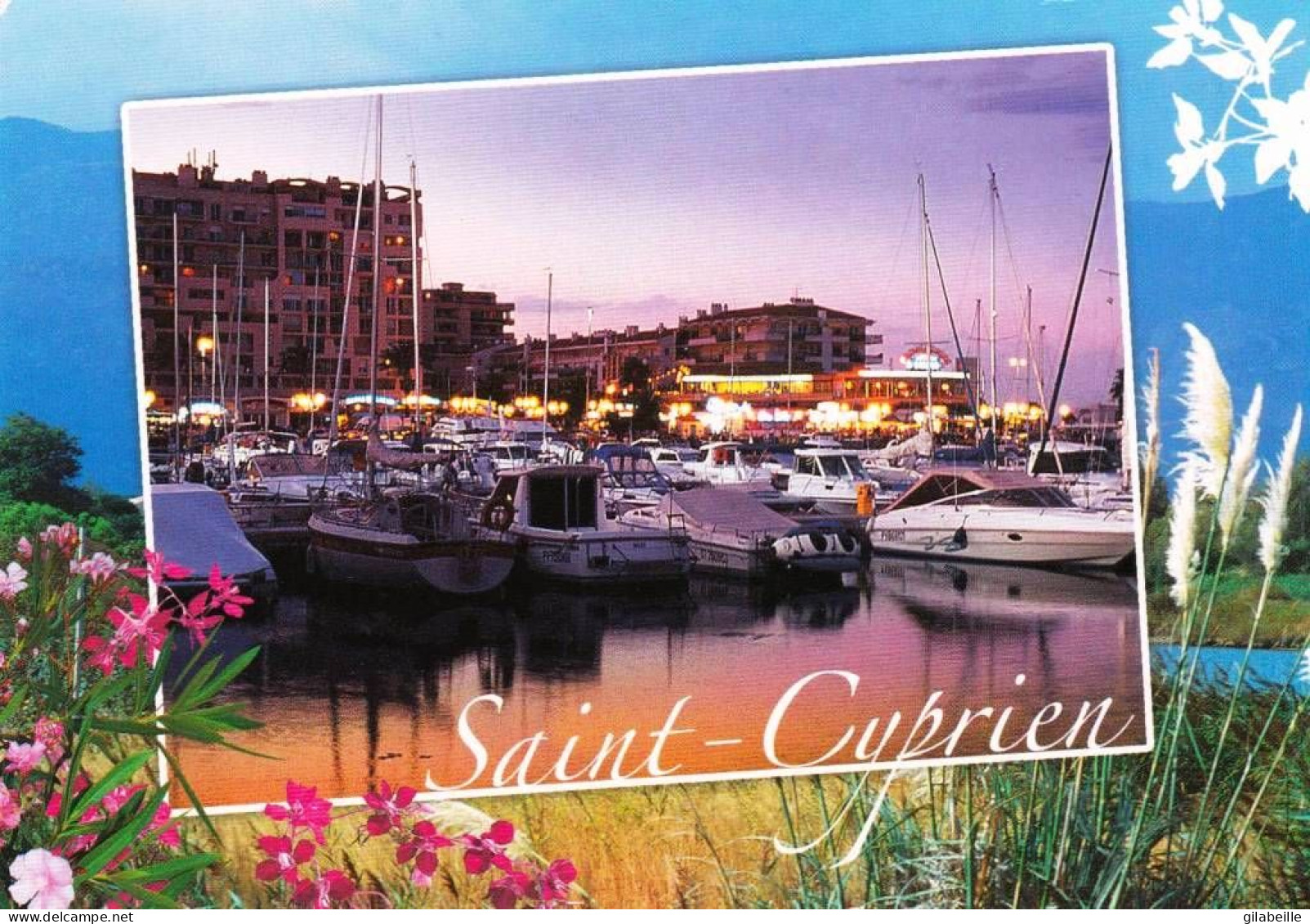 66 -  Pyrenees Orientales  - SAINT CYPRIEN - Le Port - Saint Cyprien