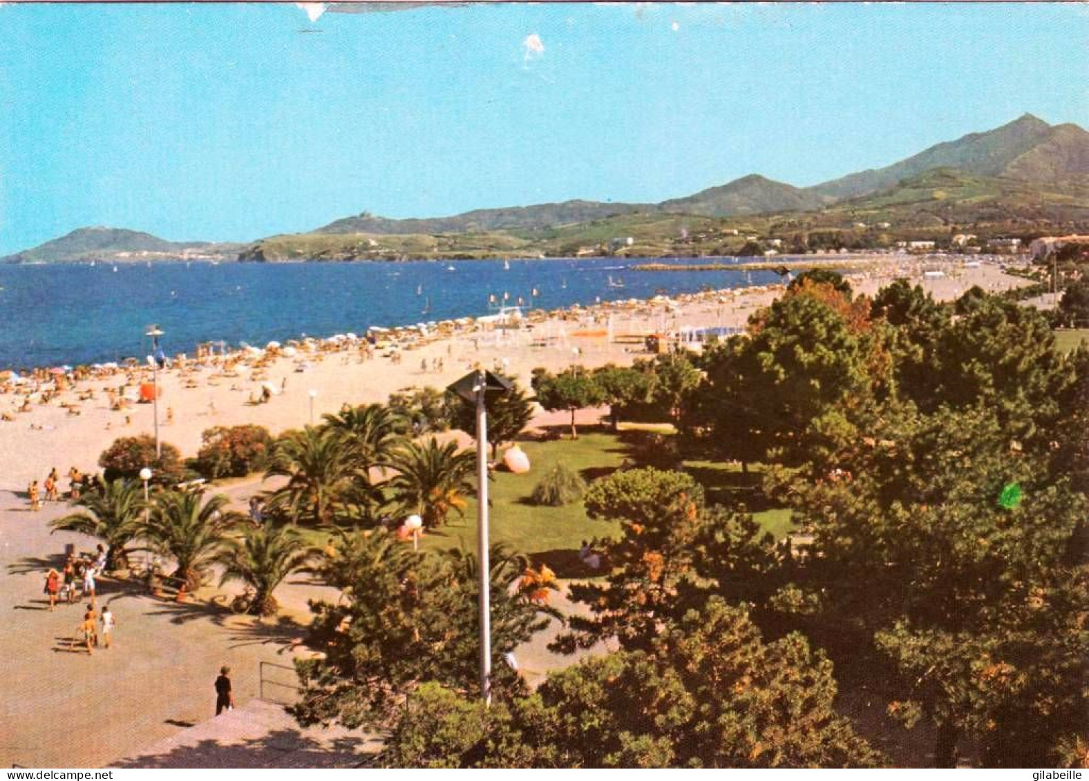 66 - Pyrénées Orientales - ARGELES Sur MER - Plage - Au Loin Les Alberes - Argeles Sur Mer