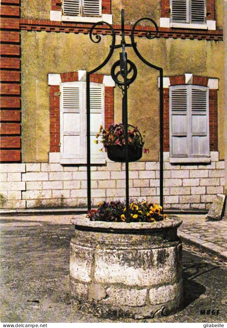 77 -  CHATEAU LANDON -  Le Puits - Chateau Landon