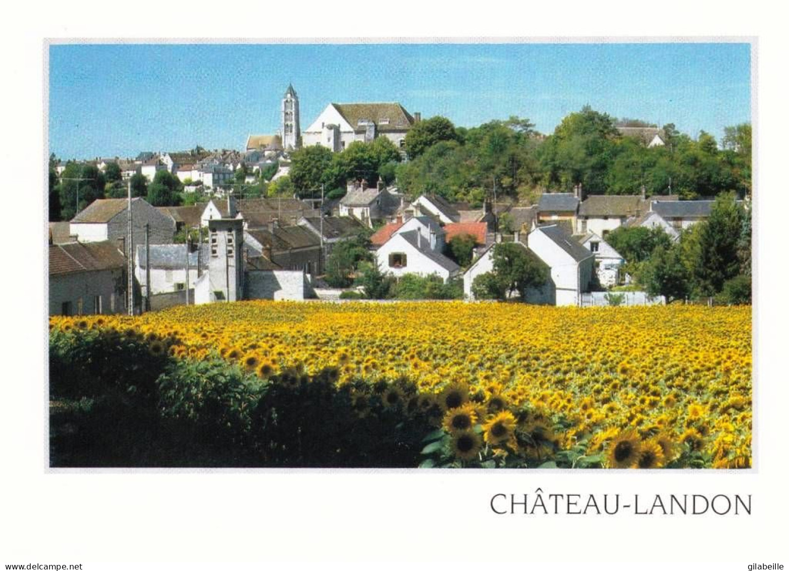 77 -  CHATEAU LANDON - Saint Sevrin - Chateau Landon