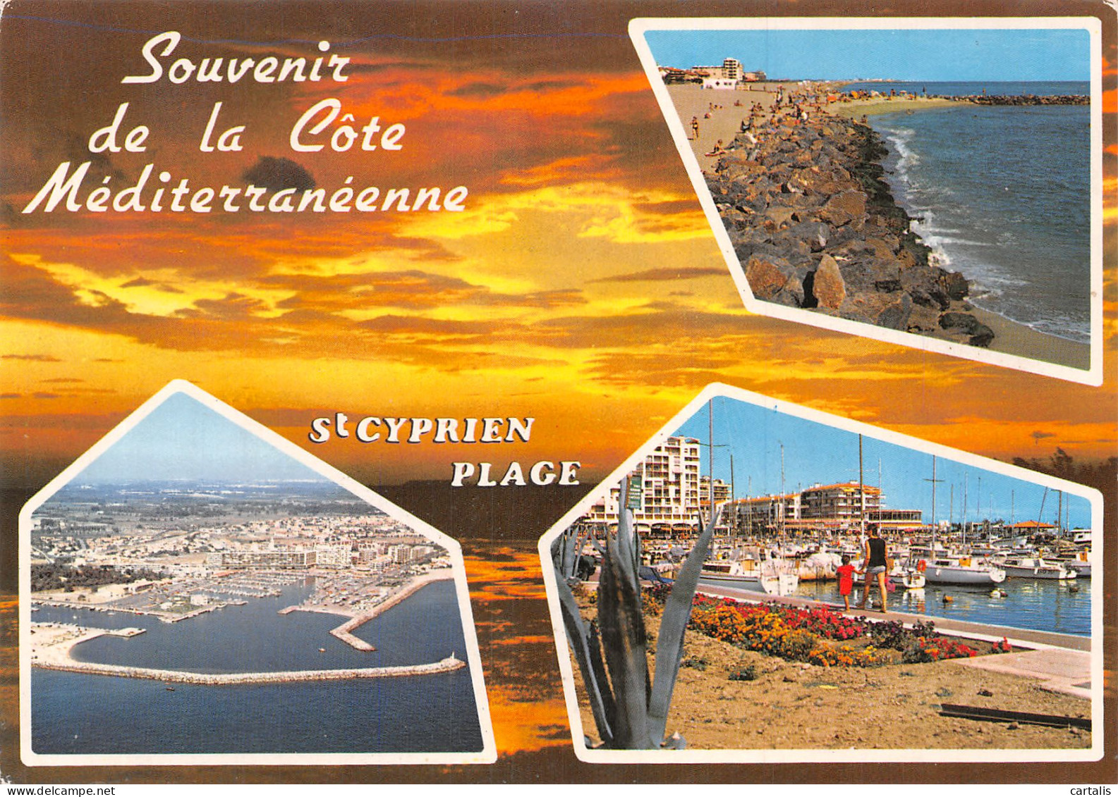 66-SAINT CYPRIEN PLAGE-N°4213-A/0009 - Saint Cyprien