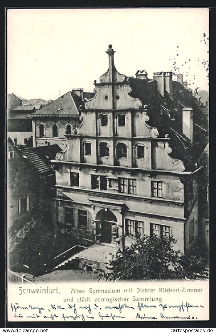 AK Schweinfurt, Blick Auf Das Alte Gymnasium Mit Dichter Rückert-Zimmer Und Städtischer Zoologischer Sammlung  - Schweinfurt