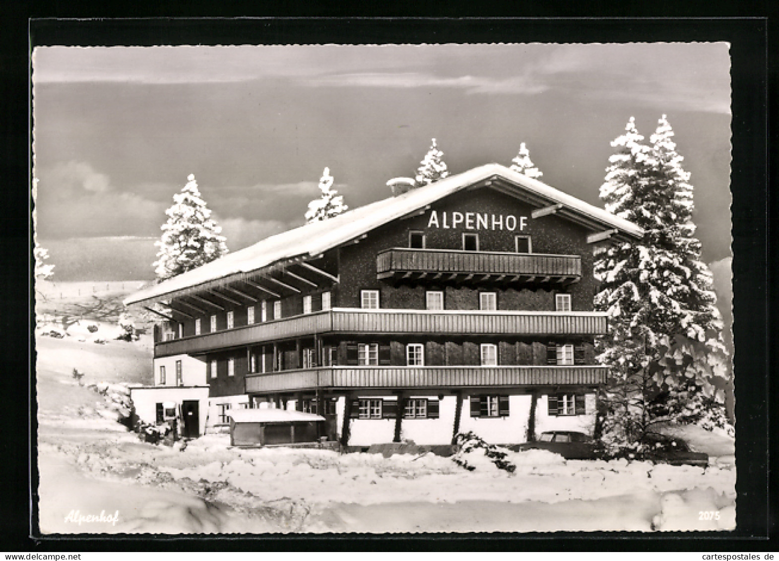 AK Jungholz / Tirol, Hotel-Pension Haus Alpenhof  - Sonstige & Ohne Zuordnung