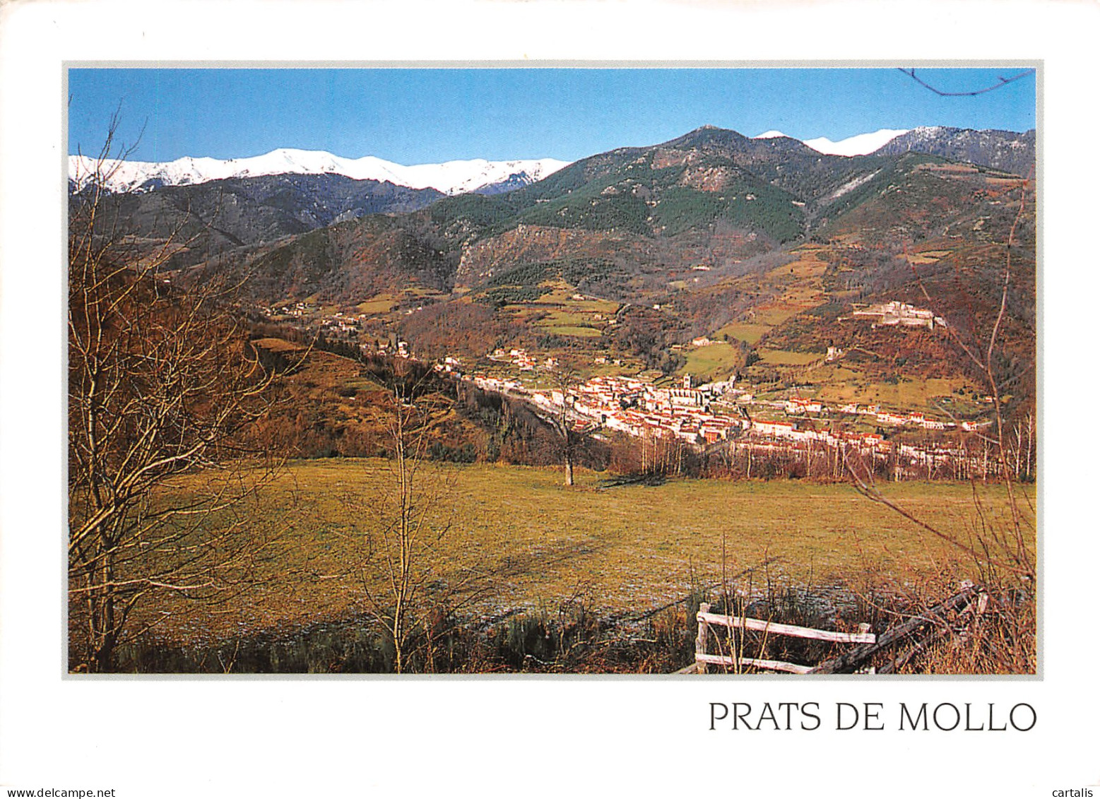 66-PRATS DE MOLLO LA PRESTE-N°4213-B/0033 - Sonstige & Ohne Zuordnung