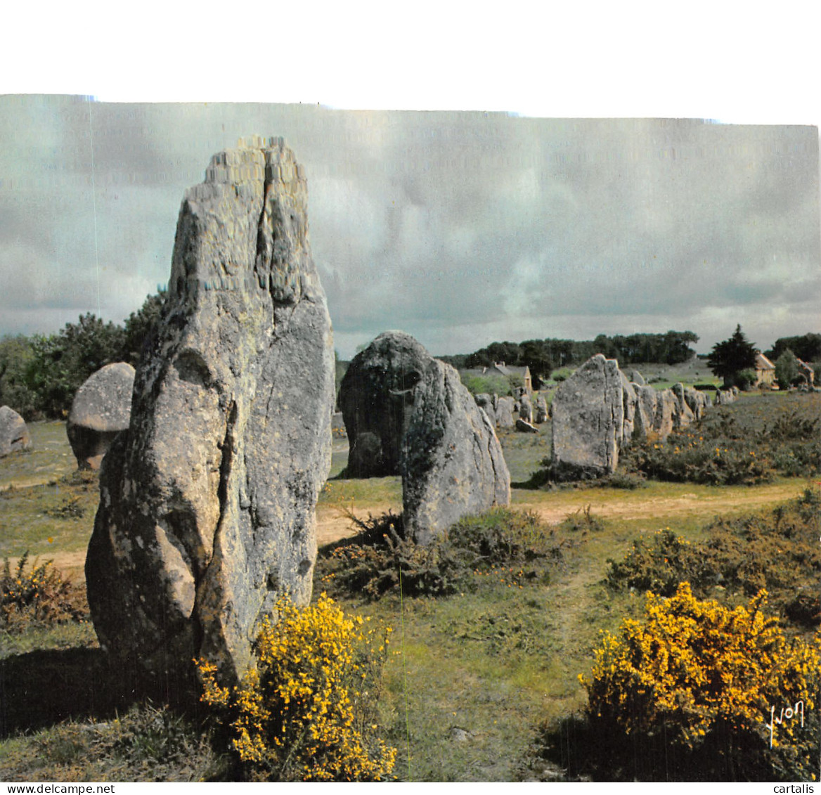 56-CARNAC-N°4214-B/0237 - Carnac