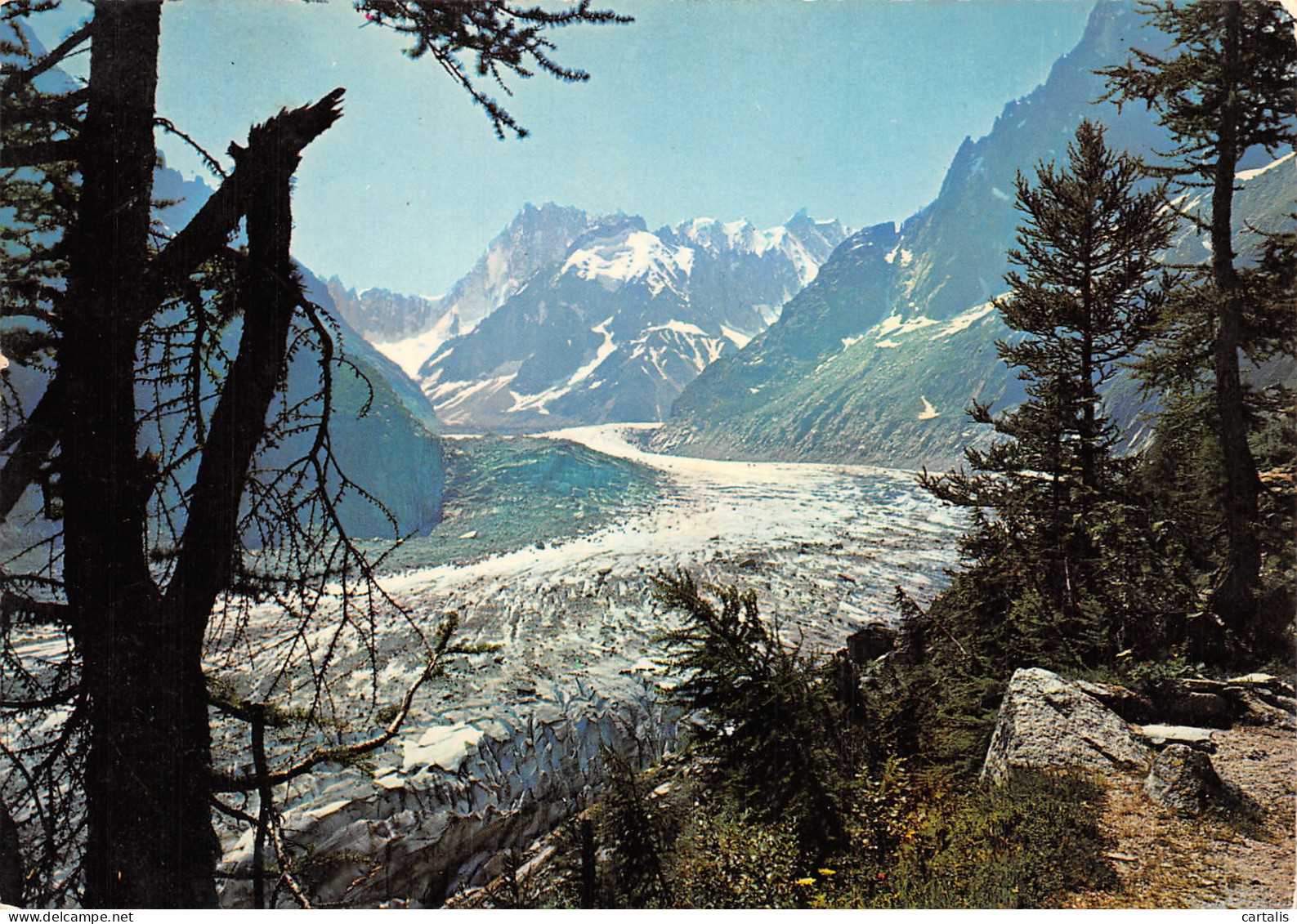 74-CHAMONIX MONT BLANC-N°4214-A/0341 - Chamonix-Mont-Blanc