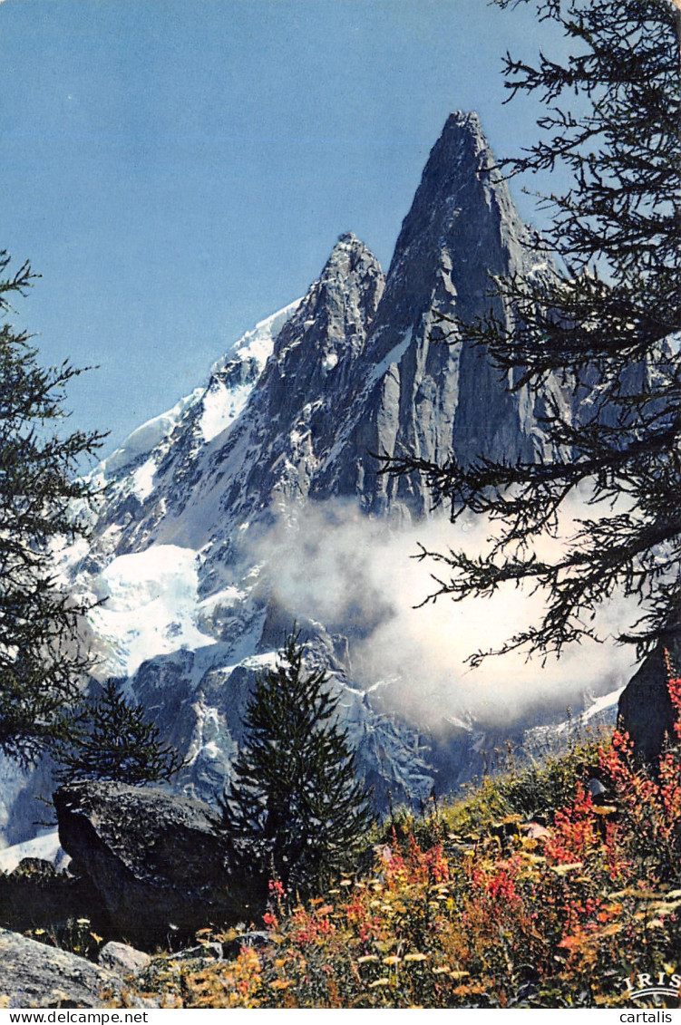 74-CHAMONIX MONT BLANC-N°4214-A/0343 - Chamonix-Mont-Blanc