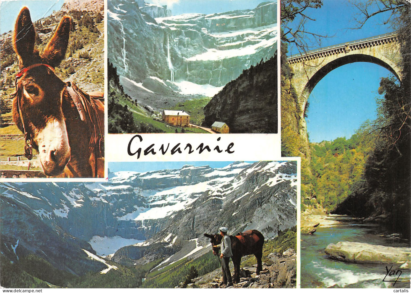 65-GAVARNIE-N°4215-A/0163 - Gavarnie