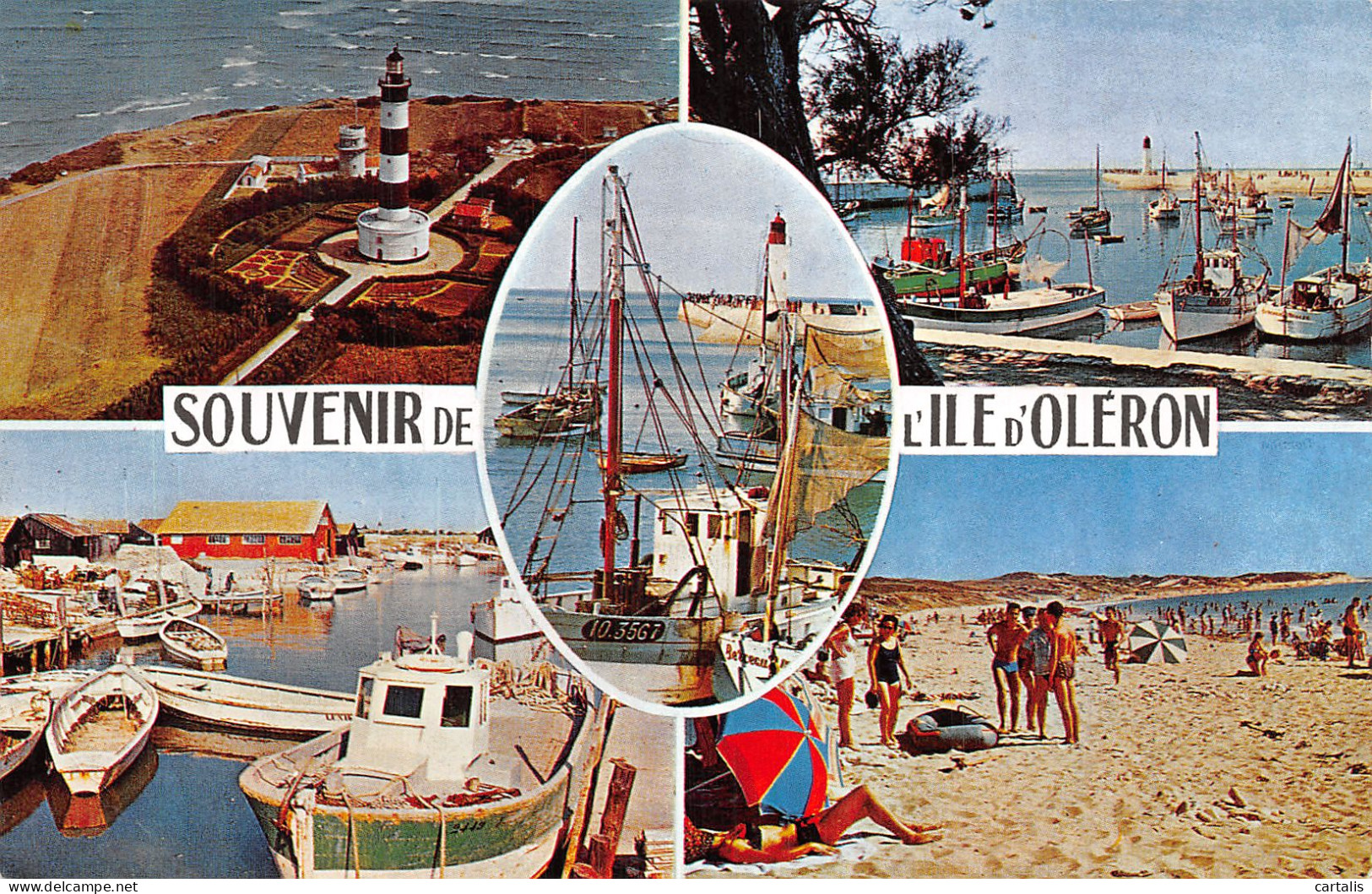 17-ILE D OLERON-N°4214-E/0353 - Ile D'Oléron