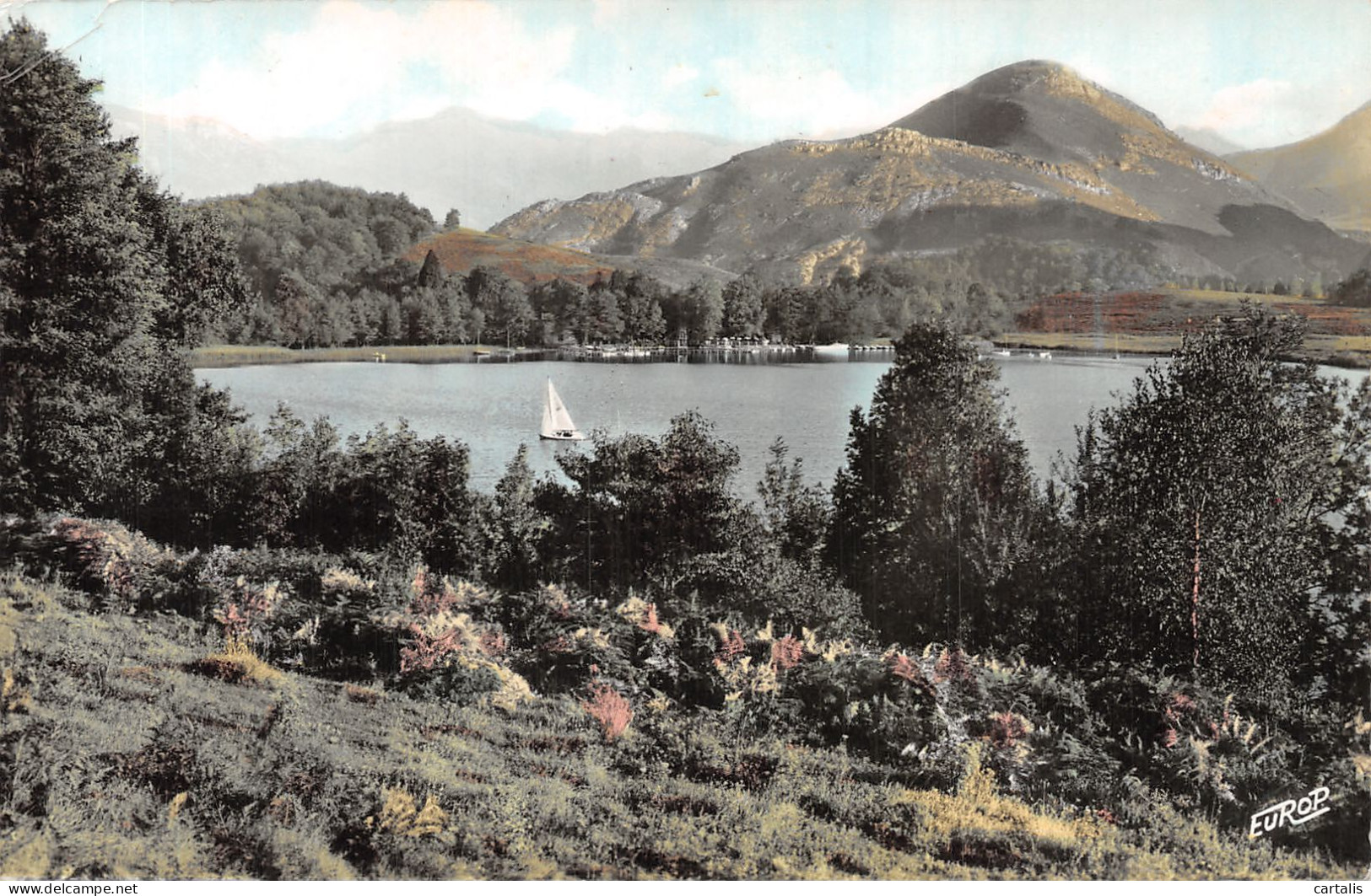 65-LOURDES-N°4214-E/0313 - Lourdes