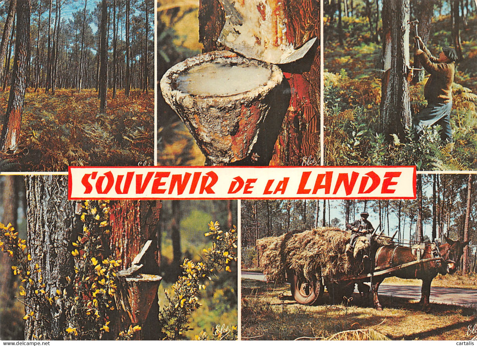40-LA LANDE-N°4215-C/0095 - Sonstige & Ohne Zuordnung