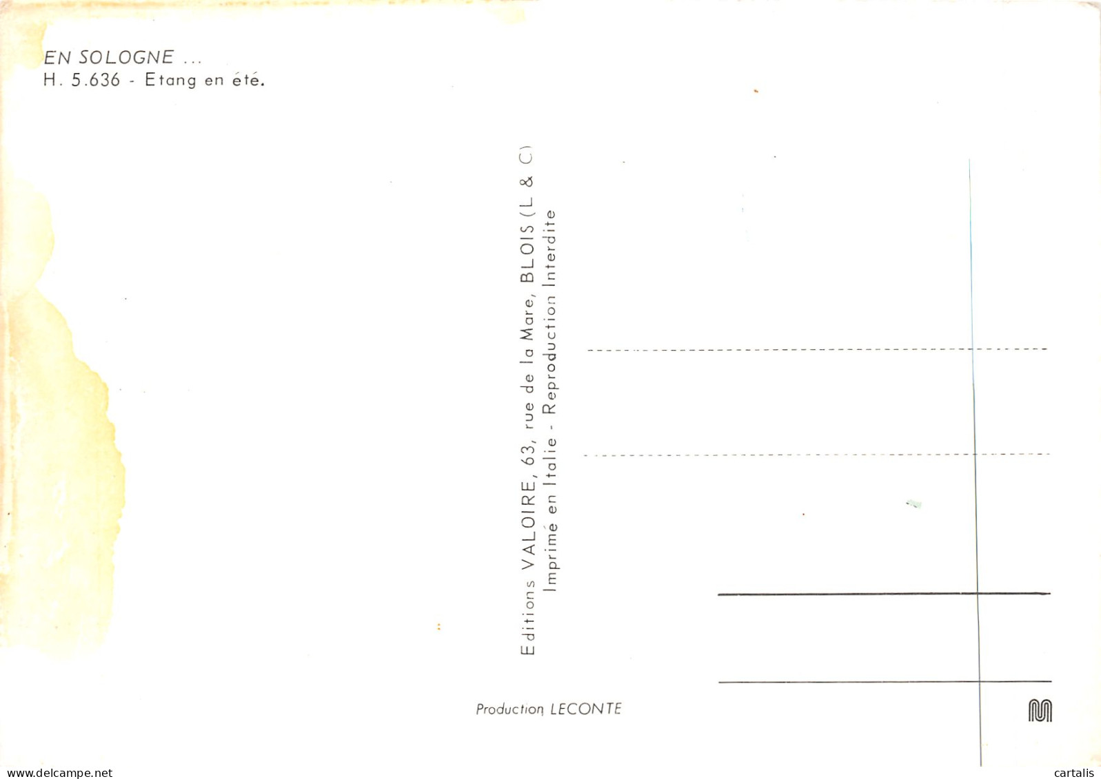 41-SOLOGNE-N°4215-B/0247 - Other & Unclassified