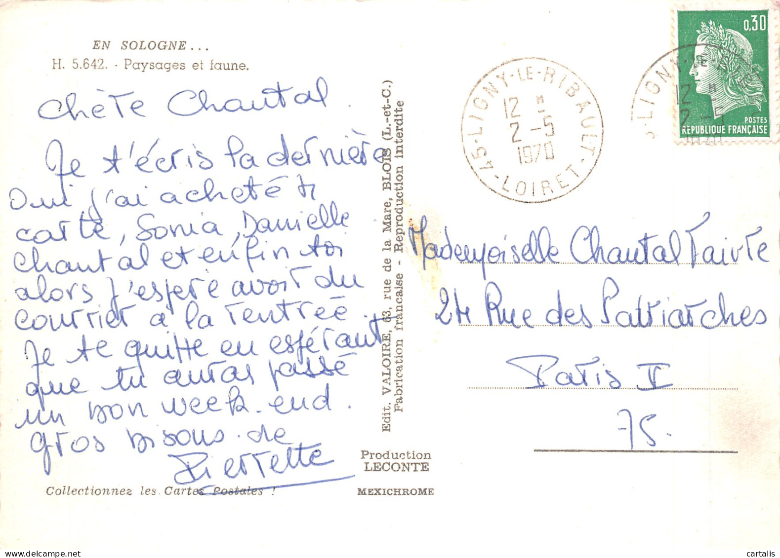 41-SOLOGNE-N°4215-B/0235 - Other & Unclassified