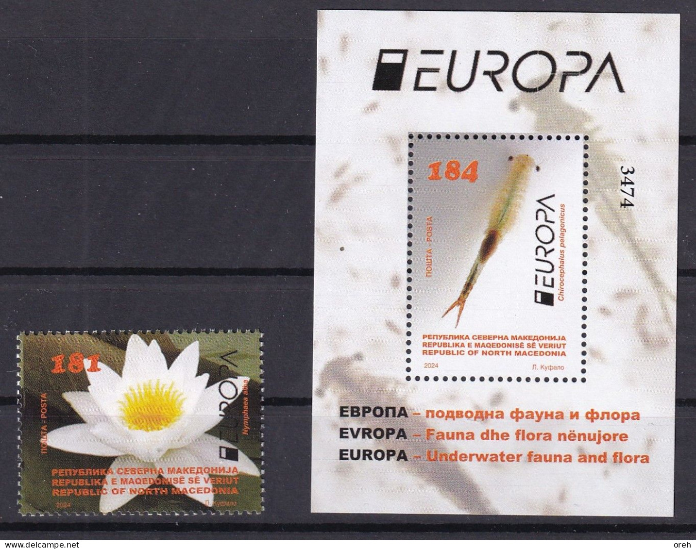 MACEDONIA NORTH 2024,2024 EUROPA - UNDERWATER FLORA AND FAUNA,MNH - 2024