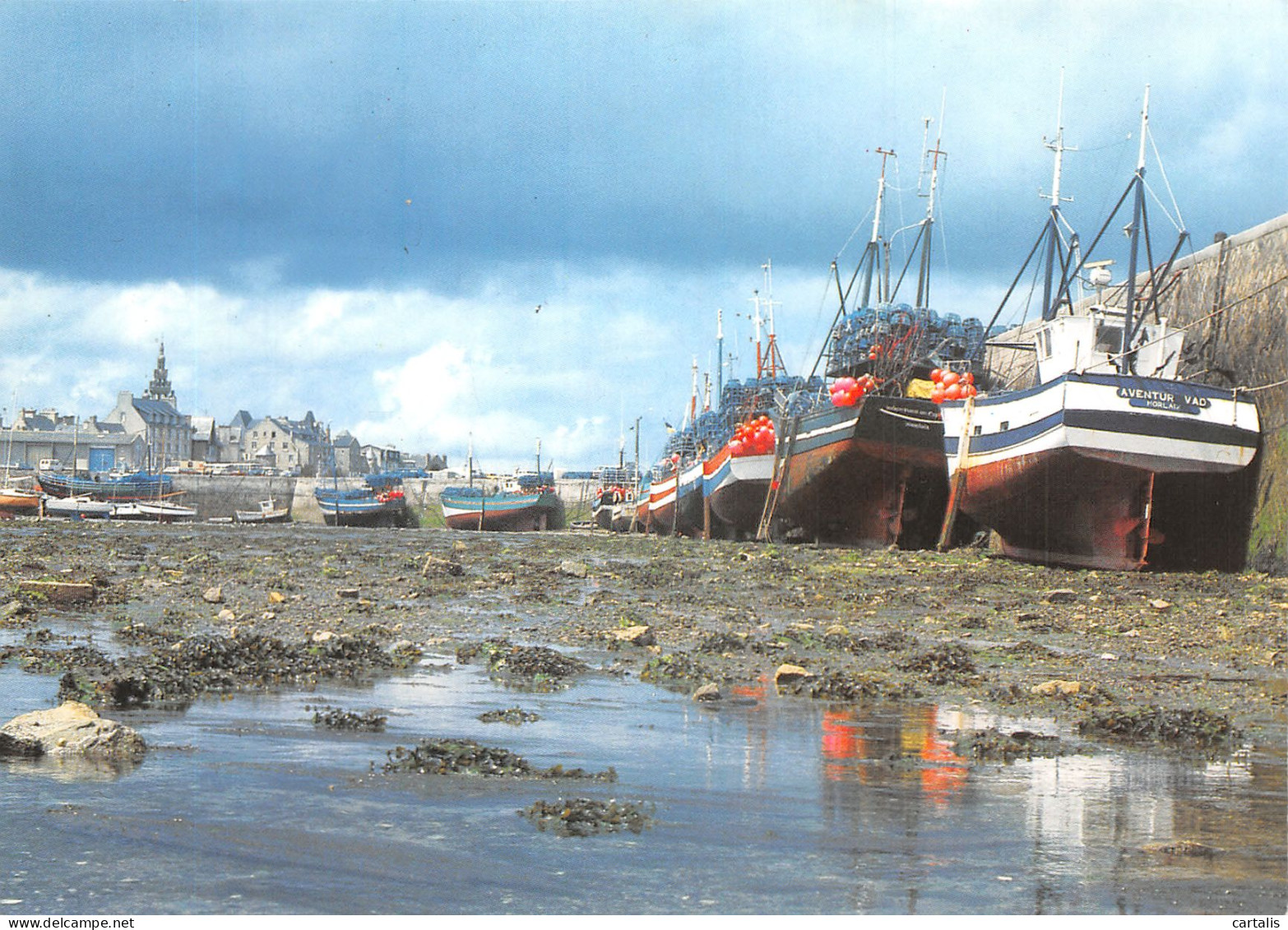 29-ROSCOFF-N°4215-B/0021 - Roscoff