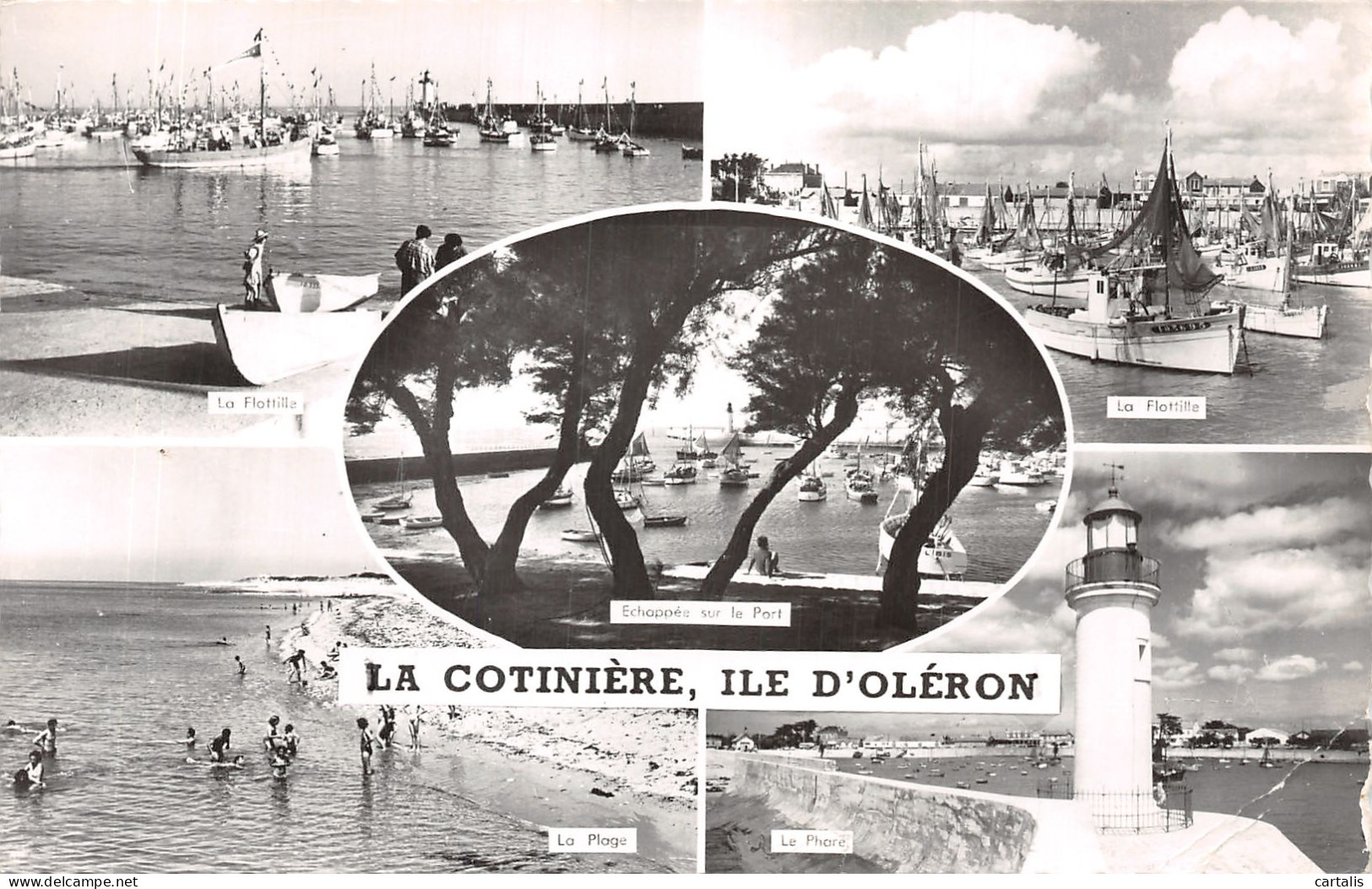 17-ILE D OLERON LA COTINIERE-N°4215-E/0077 - Ile D'Oléron