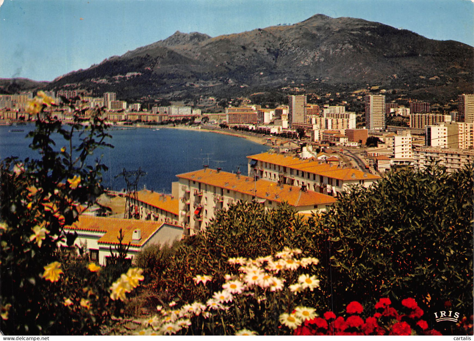 20-AJACCIO-N°4215-D/0101 - Ajaccio