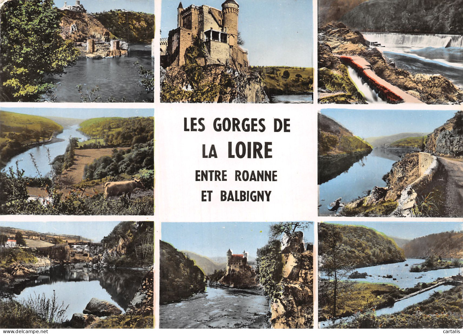 42-LES GORGES DE LA LOIRE-N°4216-C/0393 - Other & Unclassified
