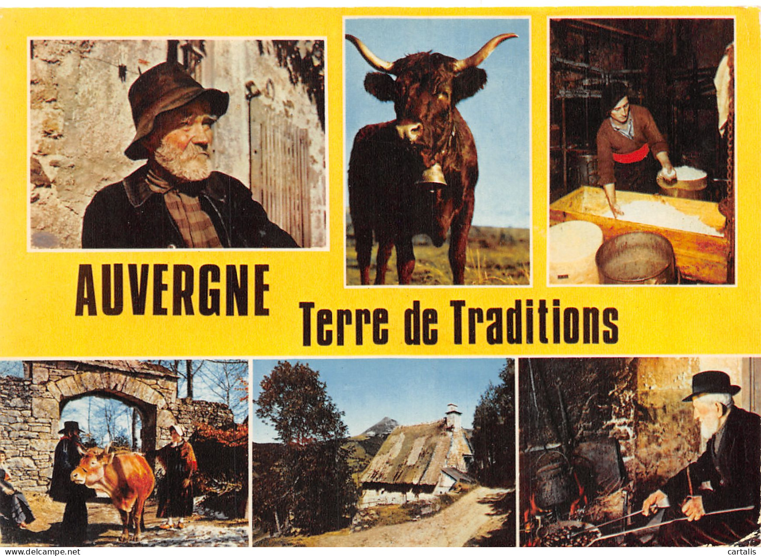 15-AUVERGNE MULTI VUE-N°4216-C/0007 - Autres & Non Classés