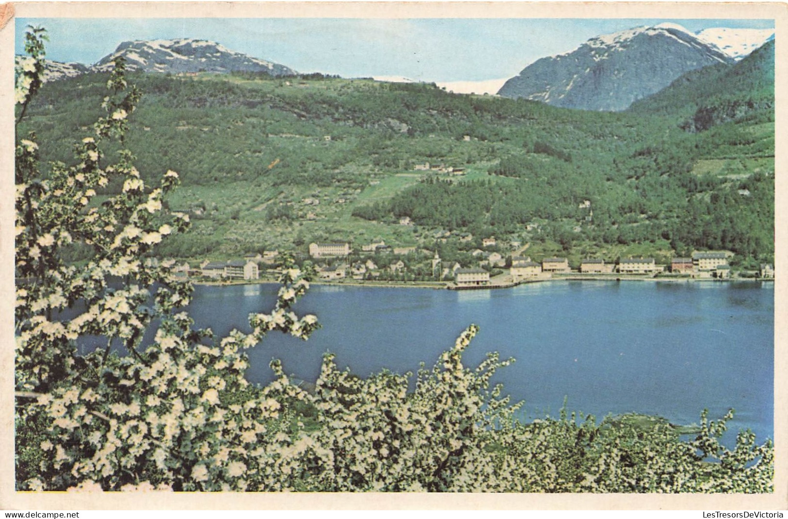 NORVEGE - View Of Ulvik In Hardanger - Colorisé - Carte Postale - Norway