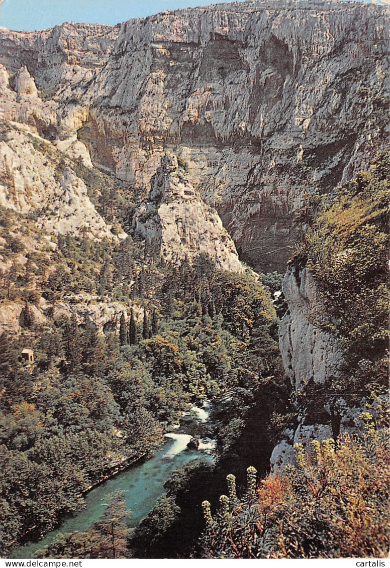 84-FONTAINE DE VAUCLUSE-N°4217-D/0071 - Other & Unclassified