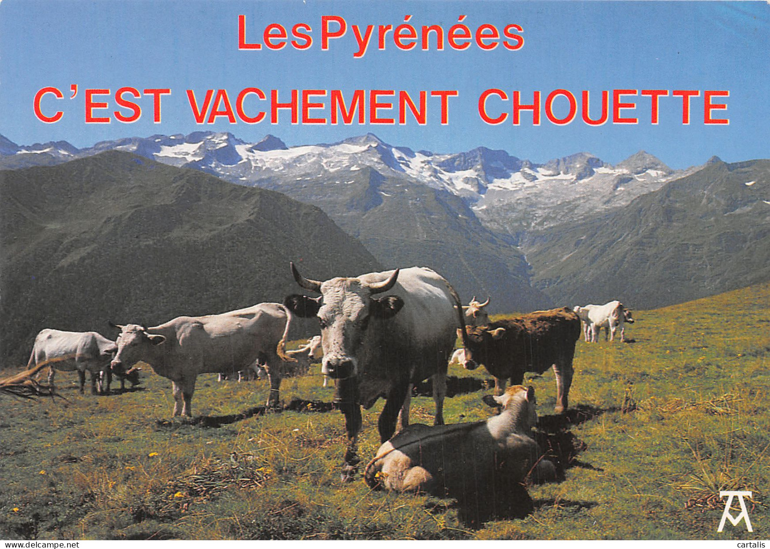 64-LES PYRENEES-N°4217-D/0015 - Andere & Zonder Classificatie