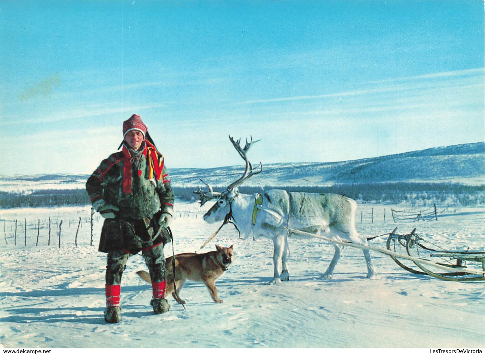 NORVEGE - Bergen - Lapp With His Reindeer - Animé - Colorisé - Carte Postale - Norvège